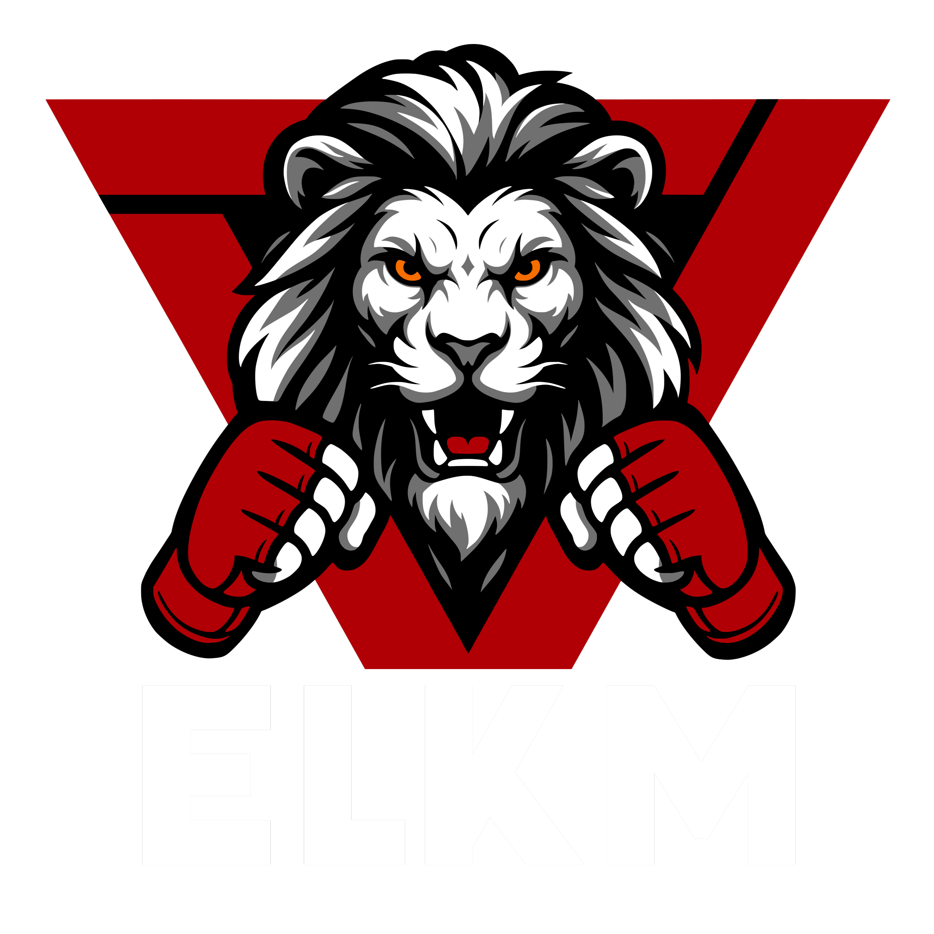 Ecole Lyonnaise de Krav Maga